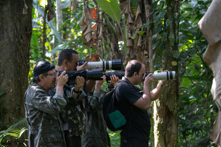 Bird Watching