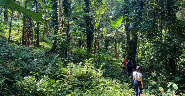 Trekking Cachoeira da Melância – Taquari