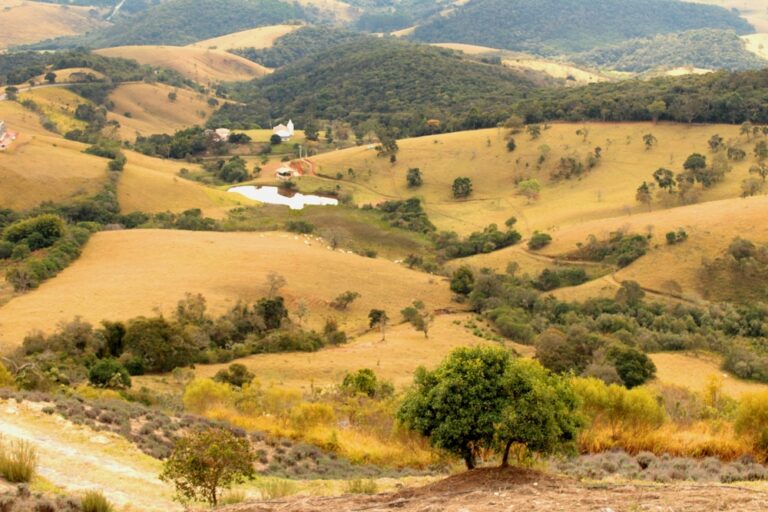 Estância Climática de Cunha
