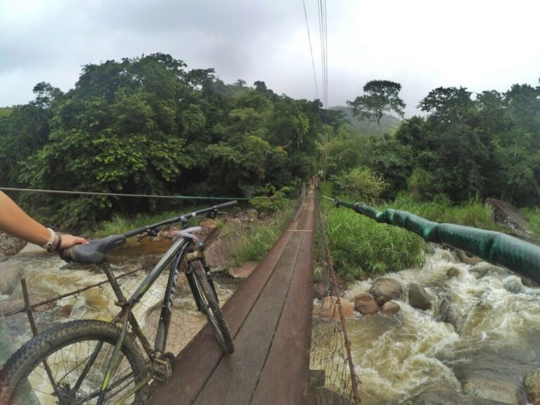 Bike Tour