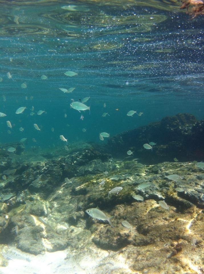 Passeio Lagoa Azul – Ilha Grande