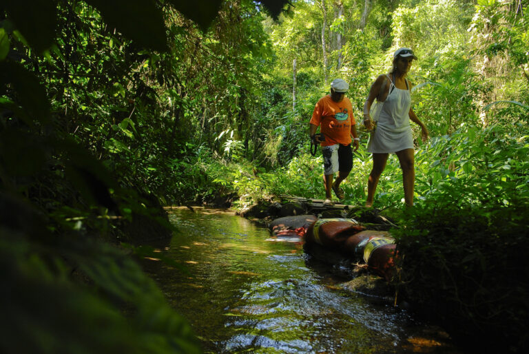 Jeep Tour – 4×4