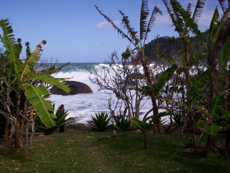 Trekking Ponta Negra – Visita comunidade Caiçara