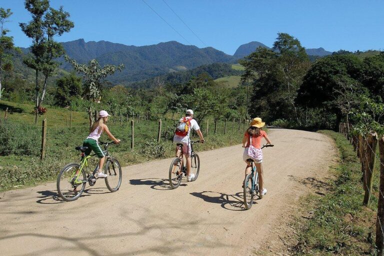 Bike Tour