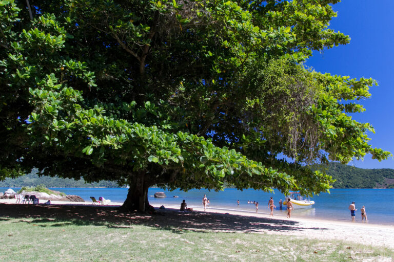 Saco do Mamanguá – Netuno Expedition