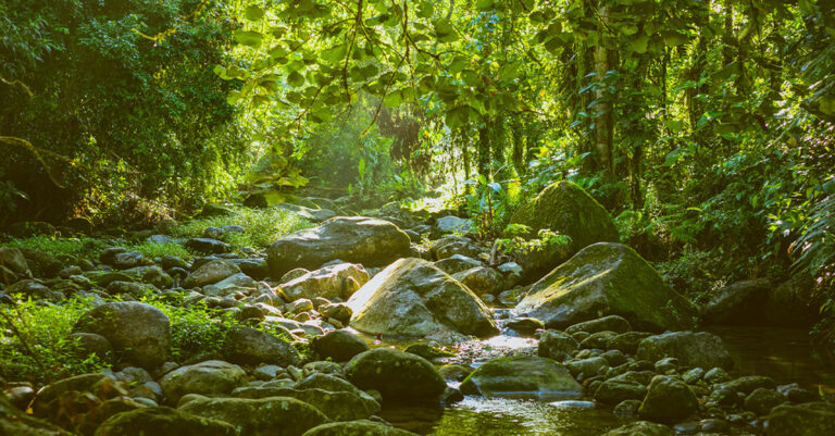 Trekking Cachoeira da Melância – Taquari