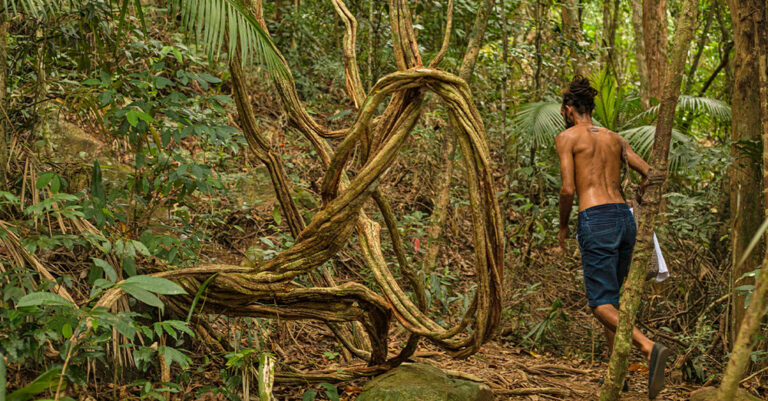 Trekking Pico Pão de Açúcar – Saco do Mamanguá
