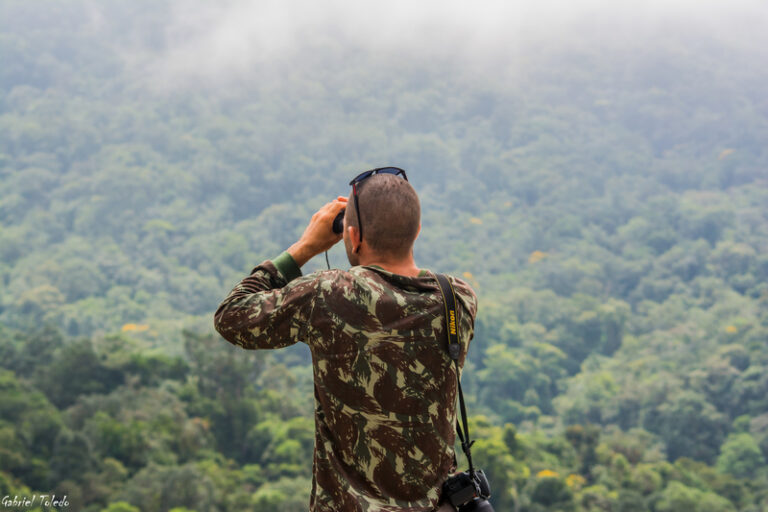 Bird Watching