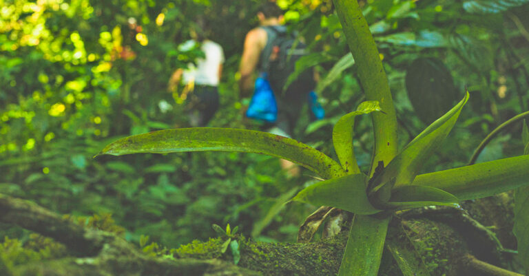 Trekking Cachoeira da Melância – Taquari
