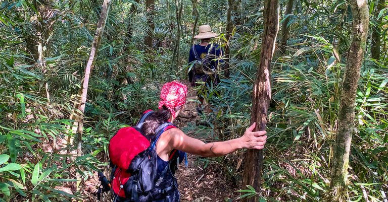 Trekking Pico Pão de Açúcar – Saco do Mamanguá