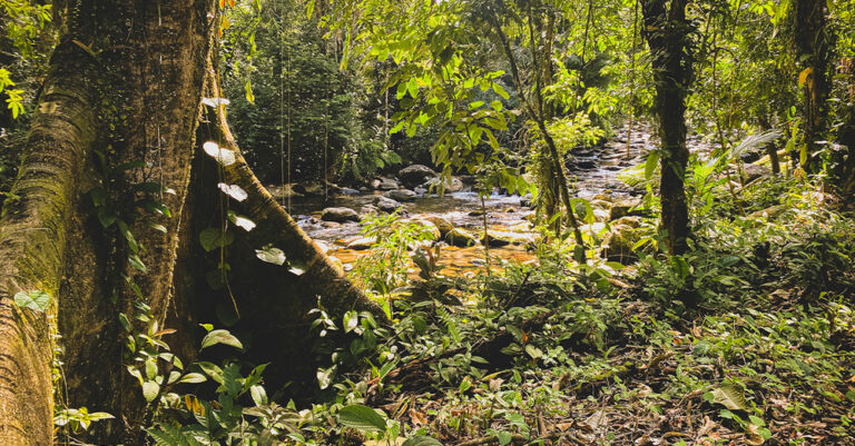 Trekking Cachoeira da Melância – Taquari
