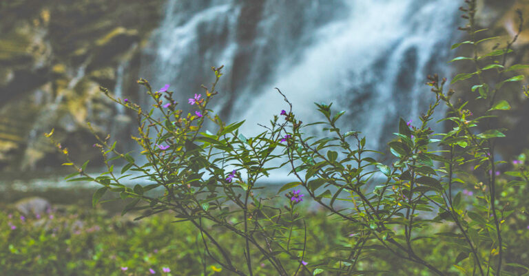 Trekking Cachoeira da Melância – Taquari