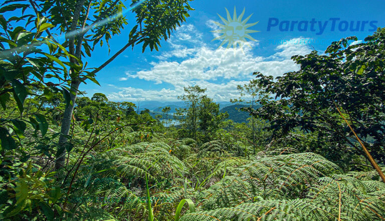 Trekking Cachoeira do Saco Bravo