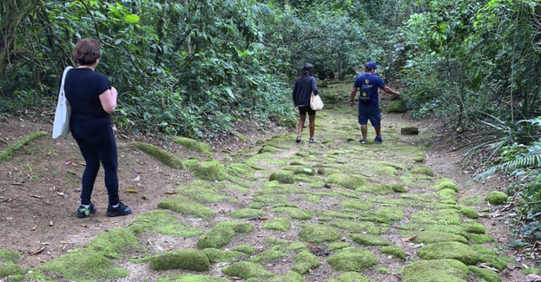 Caminho do Ouro