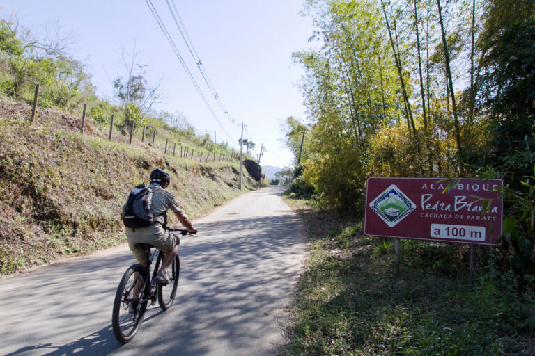 Bike Tour