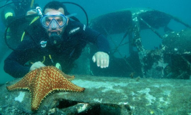 Mergulho