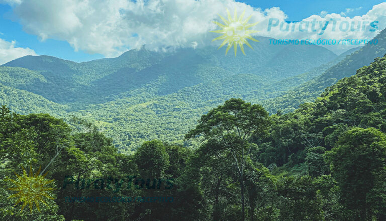 Trekking Cachoeira do Saco Bravo