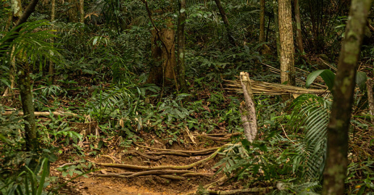 Trekking Pico Pão de Açúcar – Saco do Mamanguá