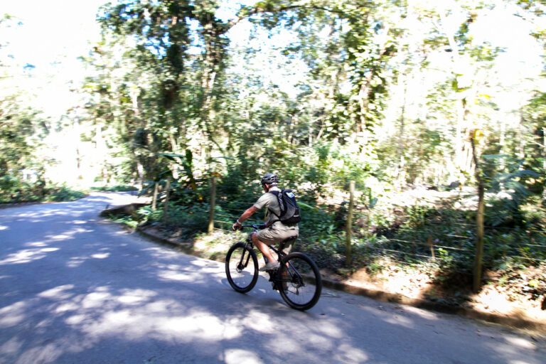 Bike Tour