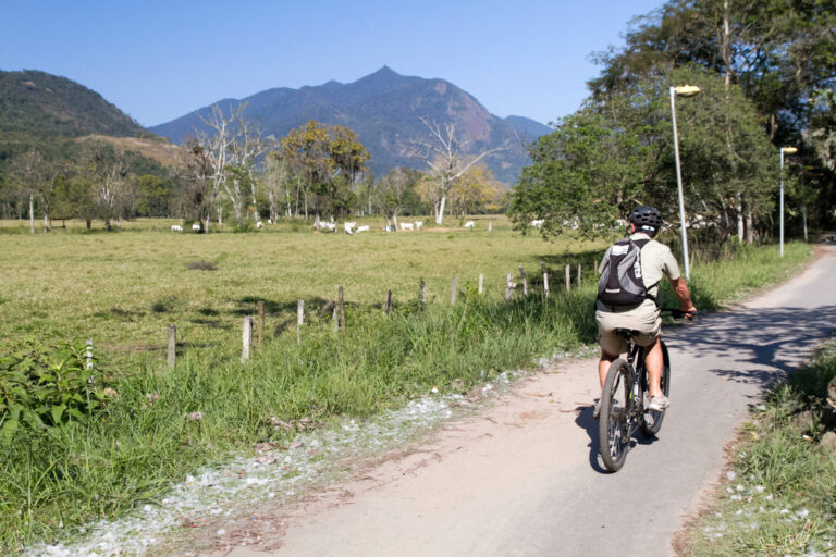 Bike Tour