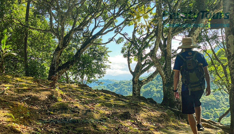 Trekking Cachoeira do Saco Bravo