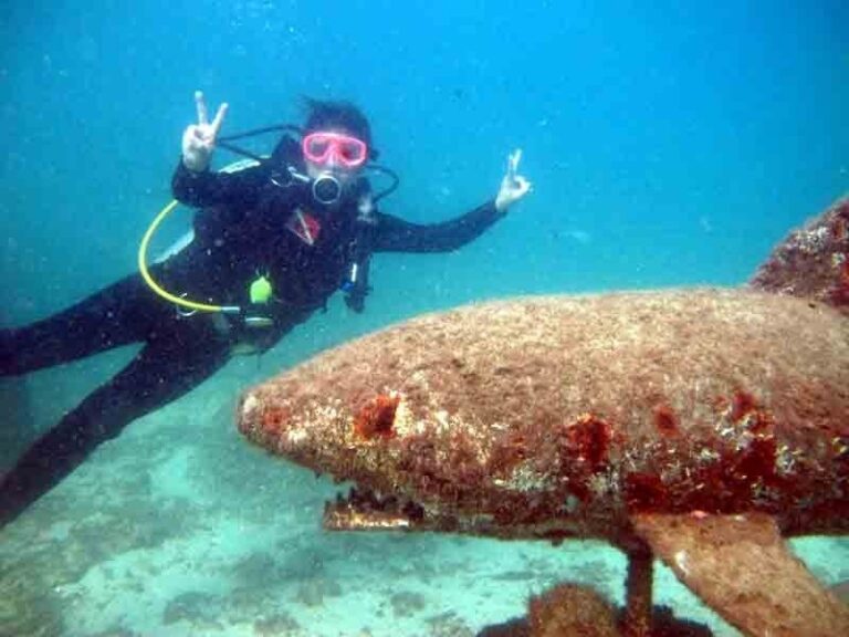 Mergulho