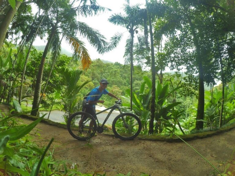 Bike Tour