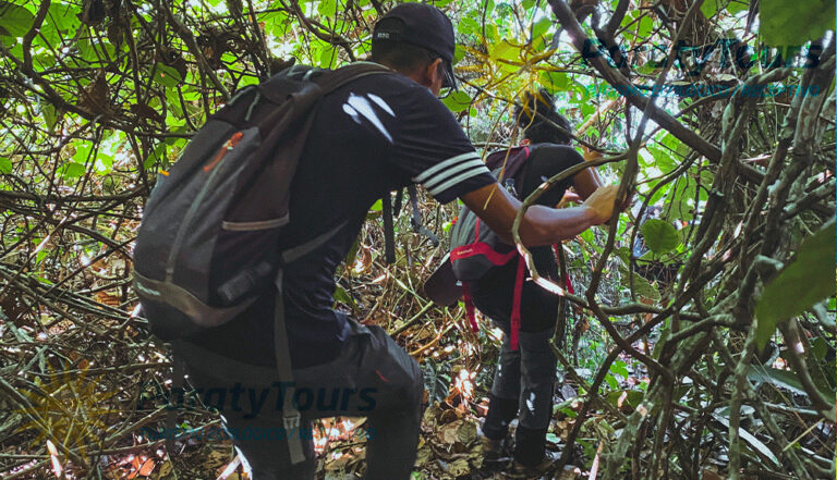 Trekking Cachoeira do Saco Bravo