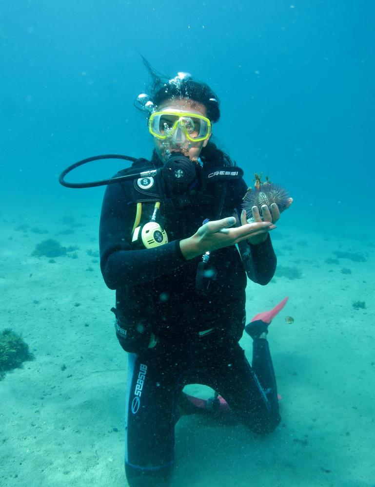 Mergulho