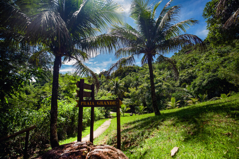 Saco do Mamanguá – Netuno Expedition