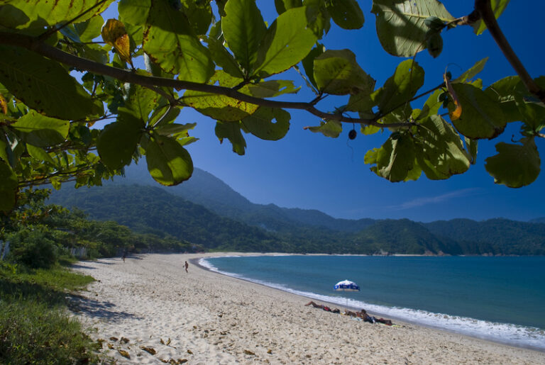 Trindade
