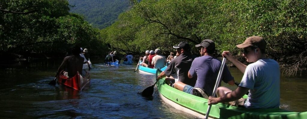 Canoagem no Manguezal do Mamanguá