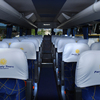 Micro-Ônibus Executivos